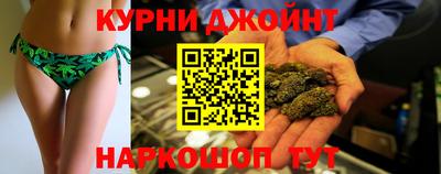 сатива Славгород