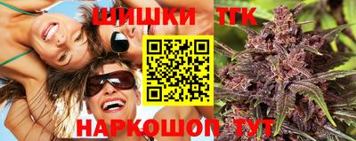 сатива Славгород