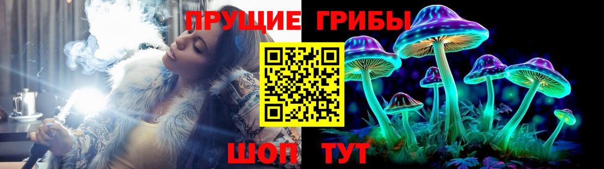 Псилоцибиновые грибы Psilocybe  Галлюциногенные грибы прущие грибы  Ноябрьск  Вход с VPN 
